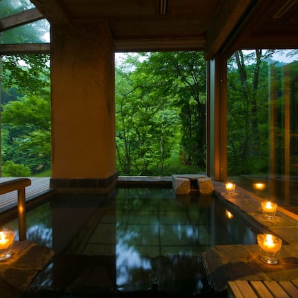 Western style room | Bathroom | Separate tub and shower, spring water tub, hair dryer, electronic bidet