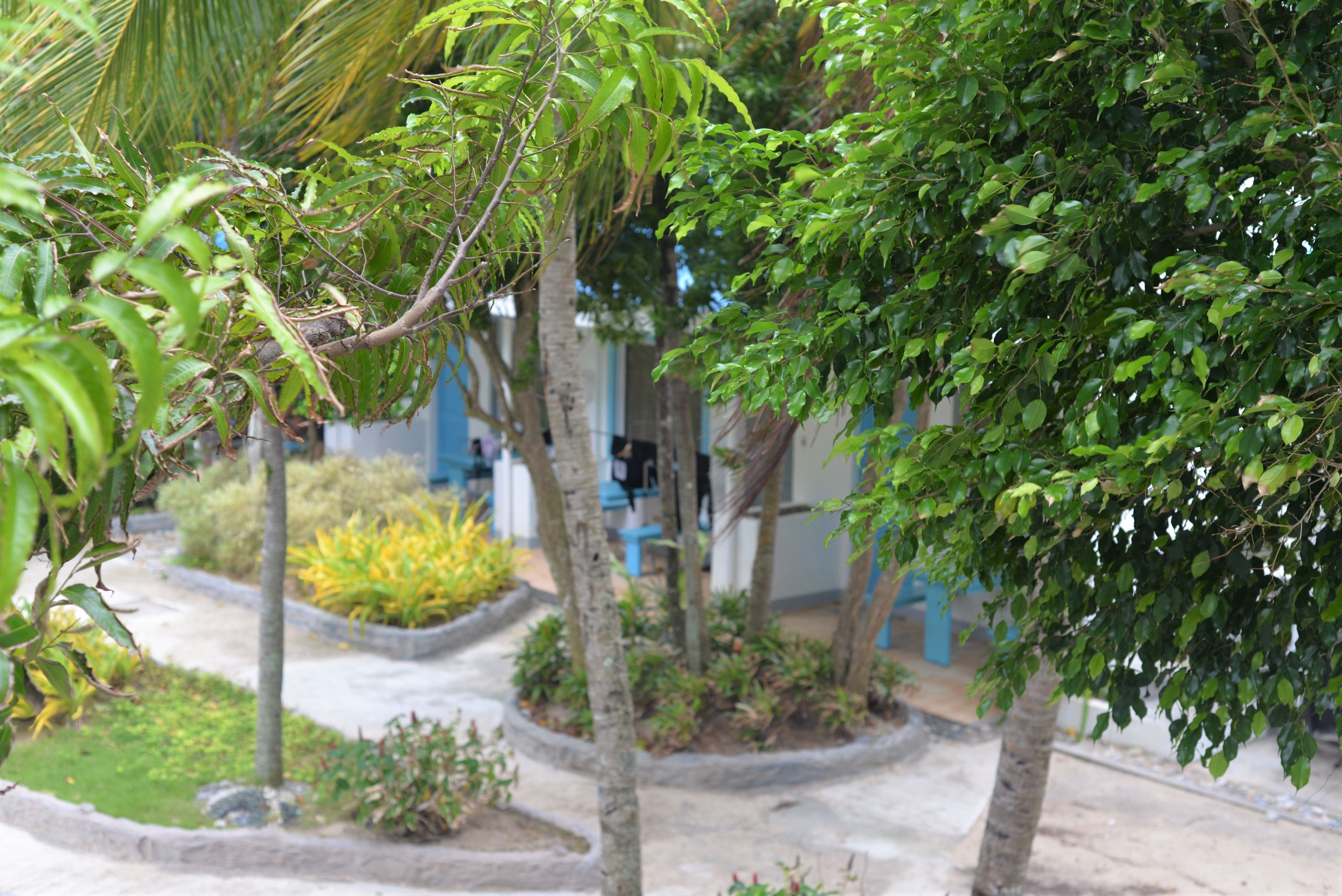 Photo - Grand Blue Beach Hotel