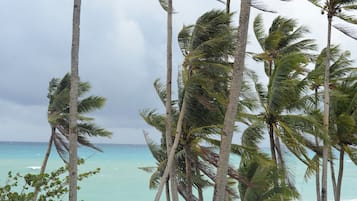 Premier Room | Beach/ocean view