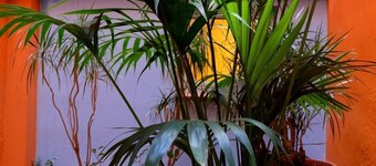 Hotel Carmen