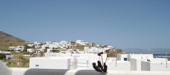 Free Sun Rooms and Apartments