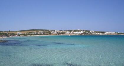 Free Sun Rooms and Apartments