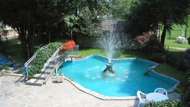 Una piscina con una fuente, rodeada por un suelo de piedra y plantas en macetas.