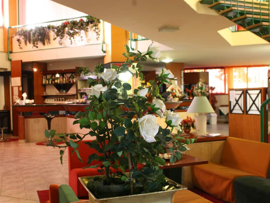 Bar (in der Unterkunft)