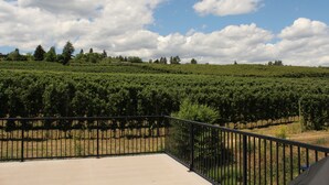 A vineyard with rows of grapevines under a clear sky. - Lake Country Inn (Lake Country)