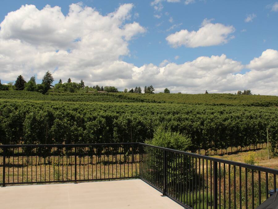 Detalle del exterior