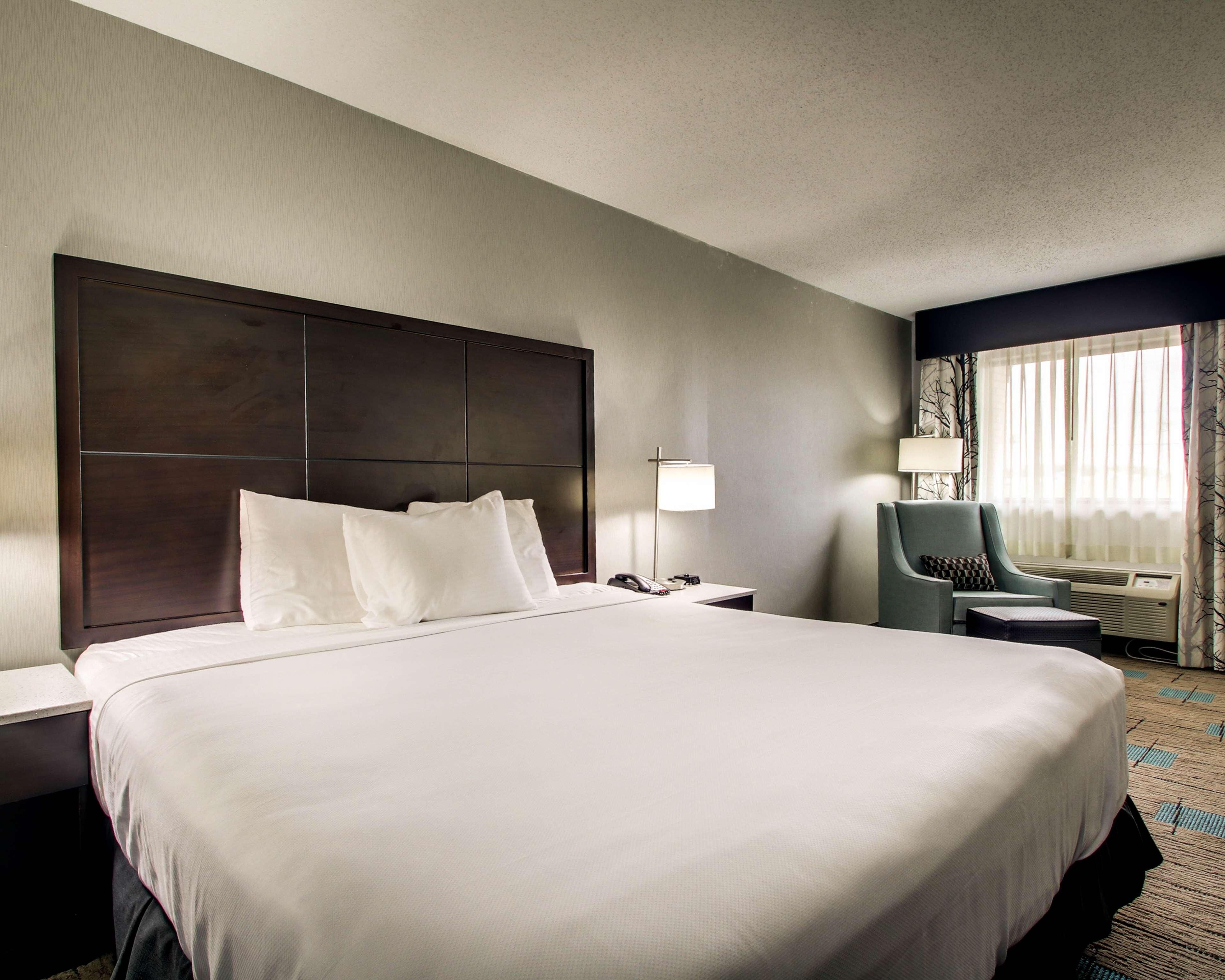 Down duvets, pillow-top beds, desk, laptop workspace