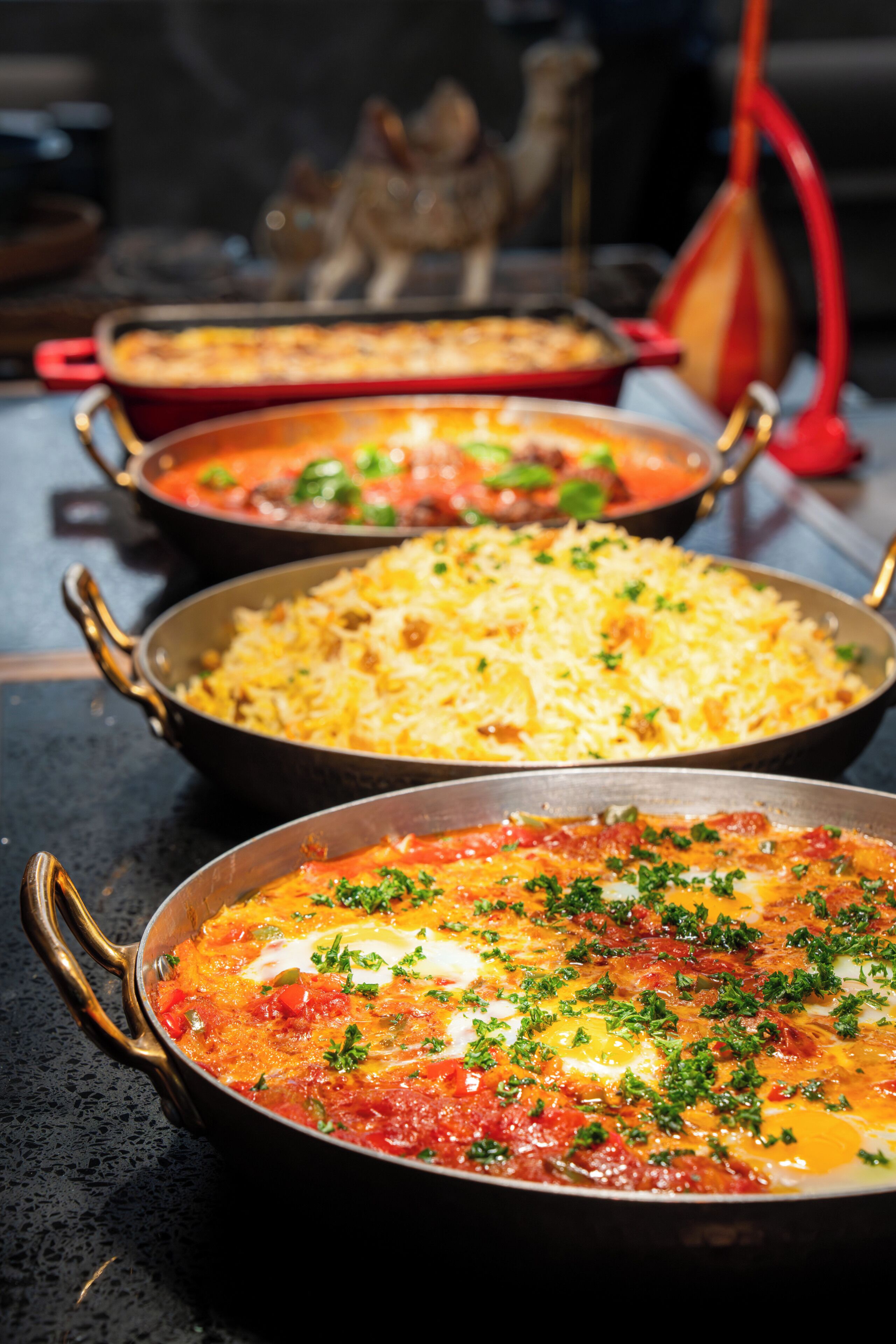 A variety of dishes in pans, including a pasta dish, a rice dish, and a tomato-based dish with herbs.