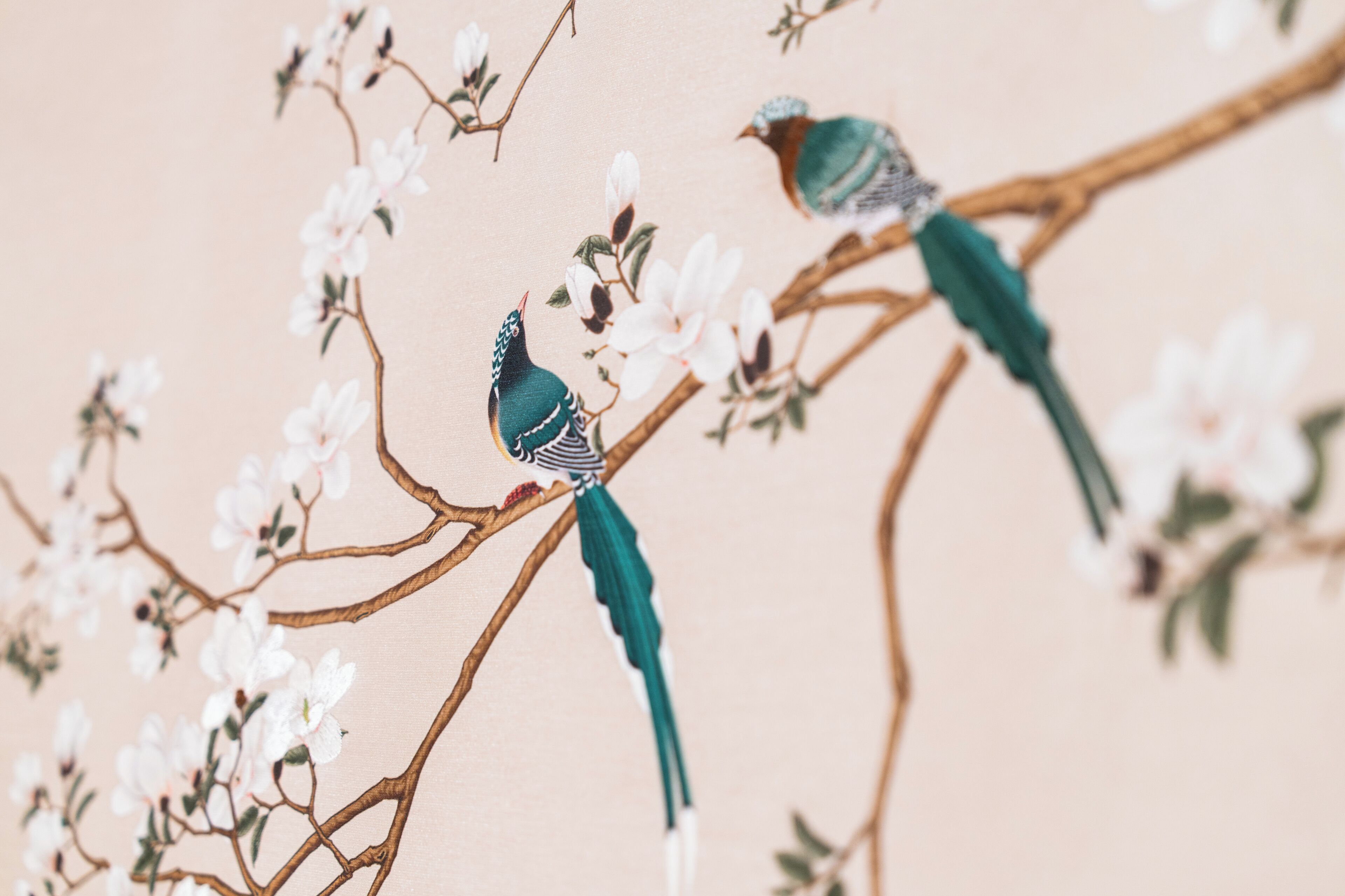 Dos pájaros posados en una rama con flores blancas.