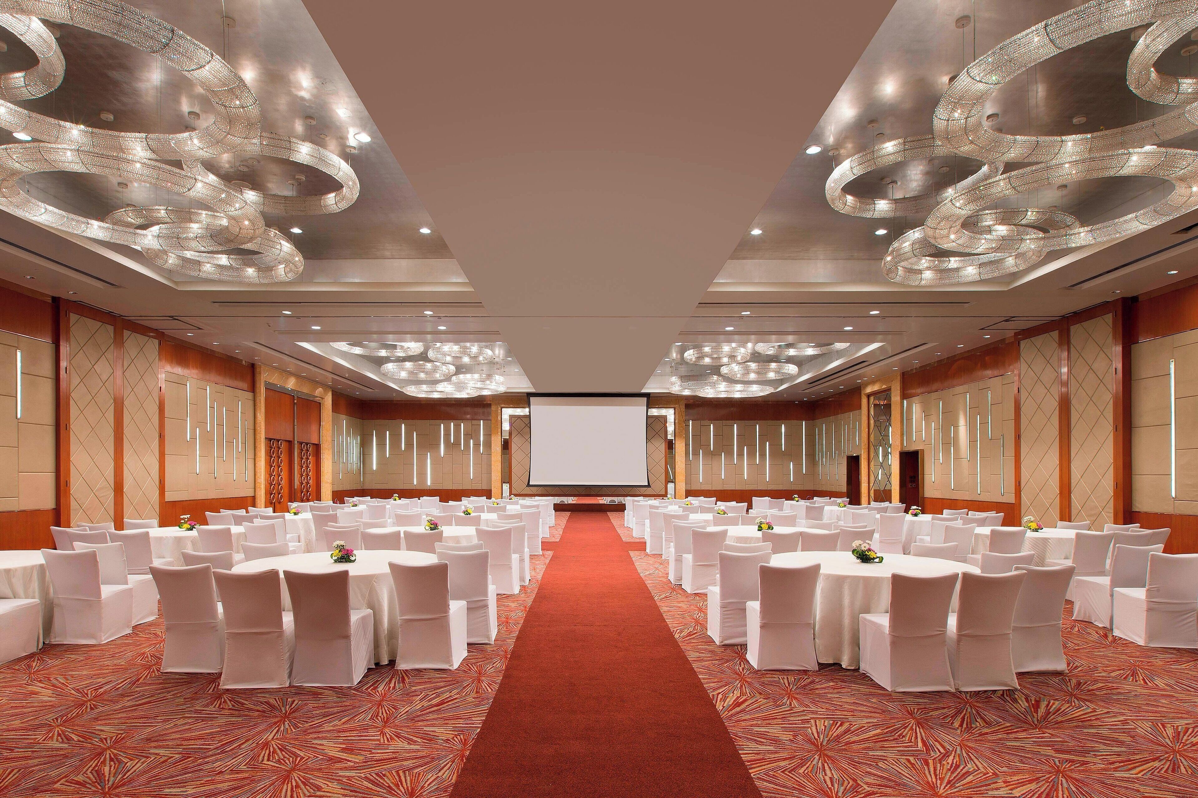A conference room with rows of white chairs and tables, a red carpet, and a large screen at the front.