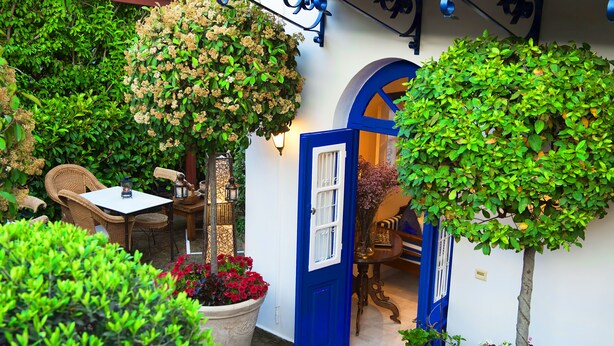 Une cour avec des meubles en osier, des plantes en pot et une porte bleue.