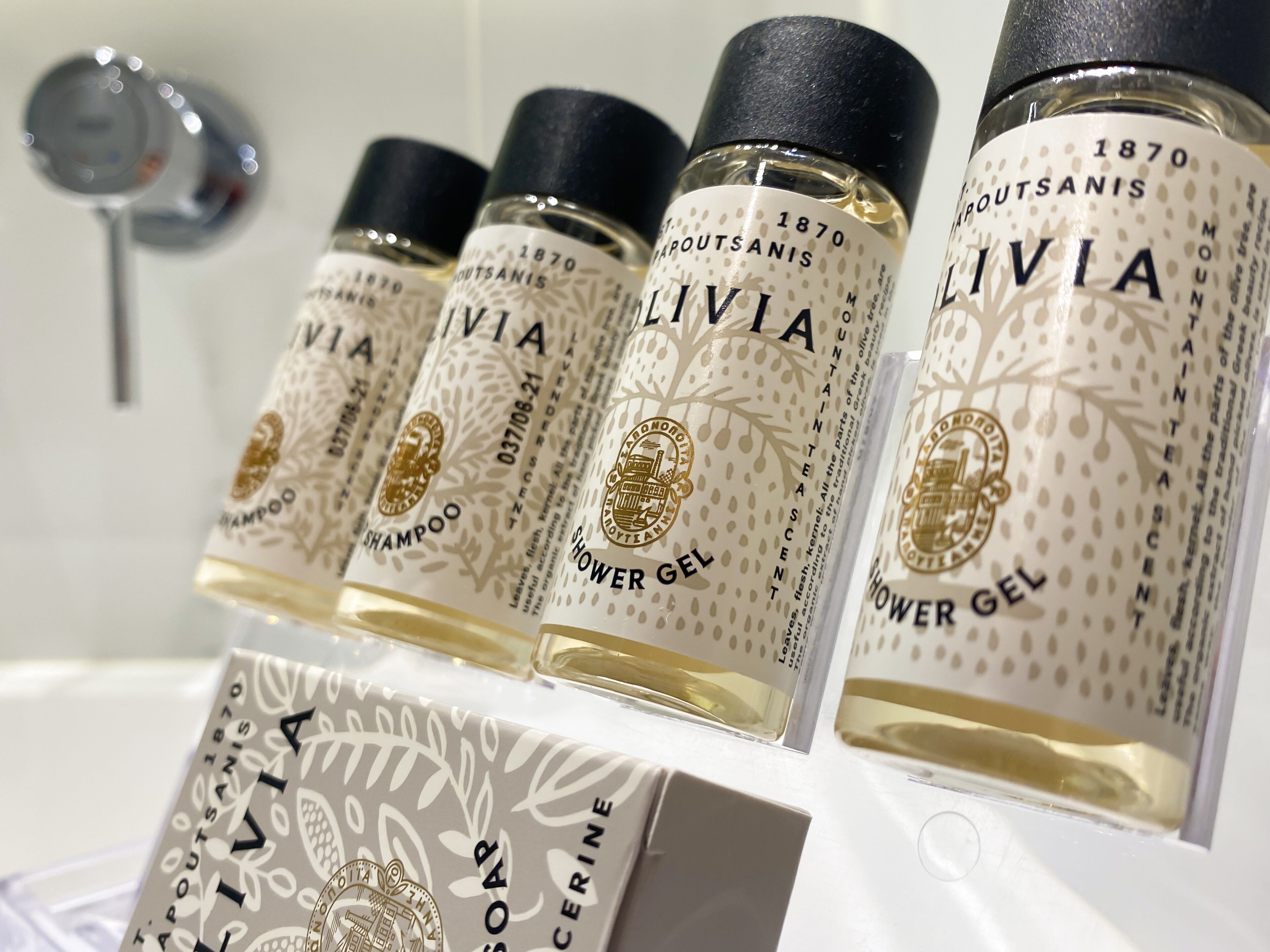 shower, hydromassage showerhead, free toiletries, hair dryer