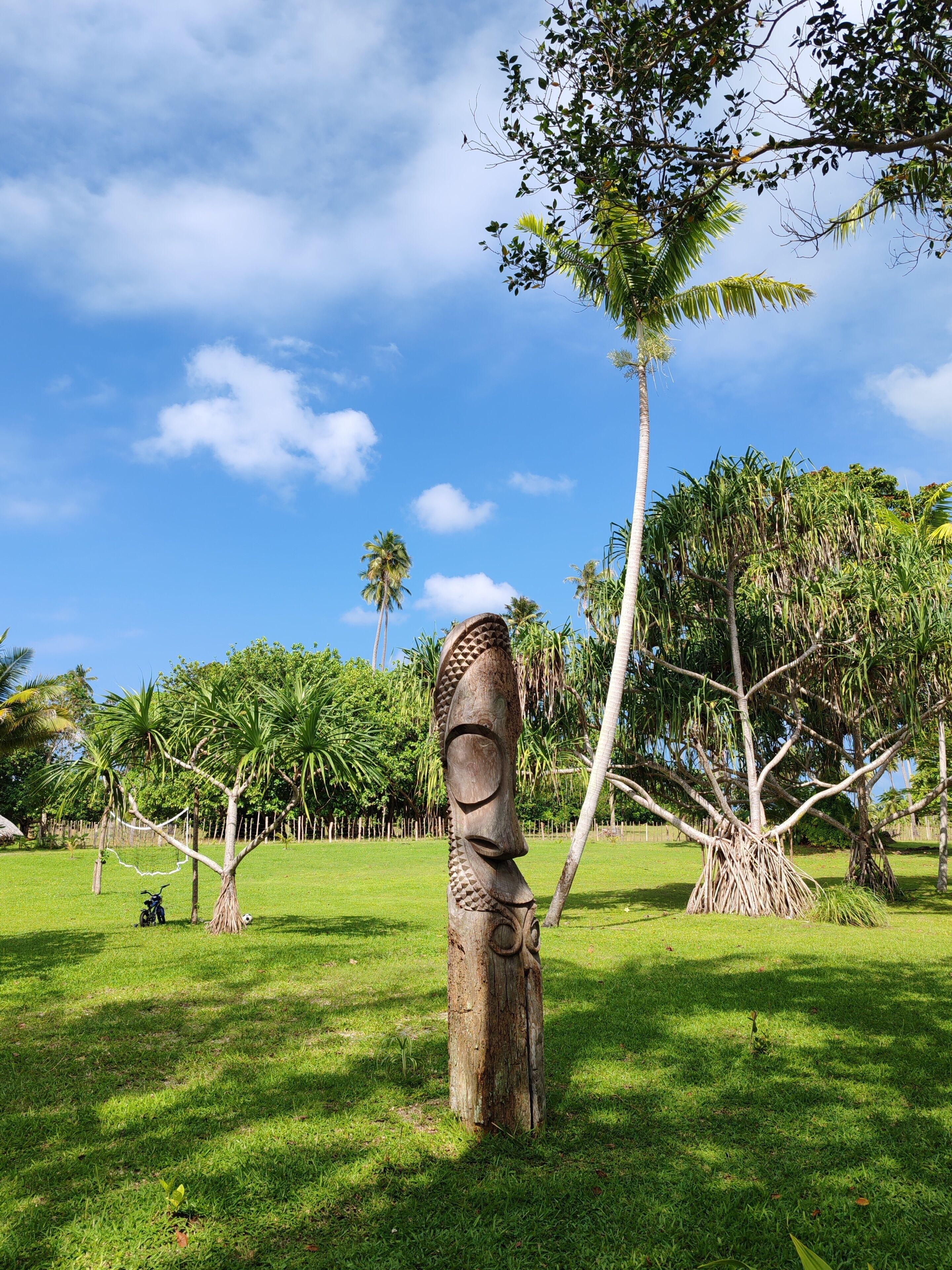 A sculpture of a face on a tree trunk in a grassy area with palm trees and a clear sky.