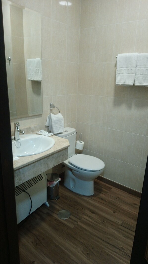 A bathroom with a sink, toilet, and mirror.