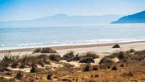 Una playa con dunas de arena y una vista despejada del océano.