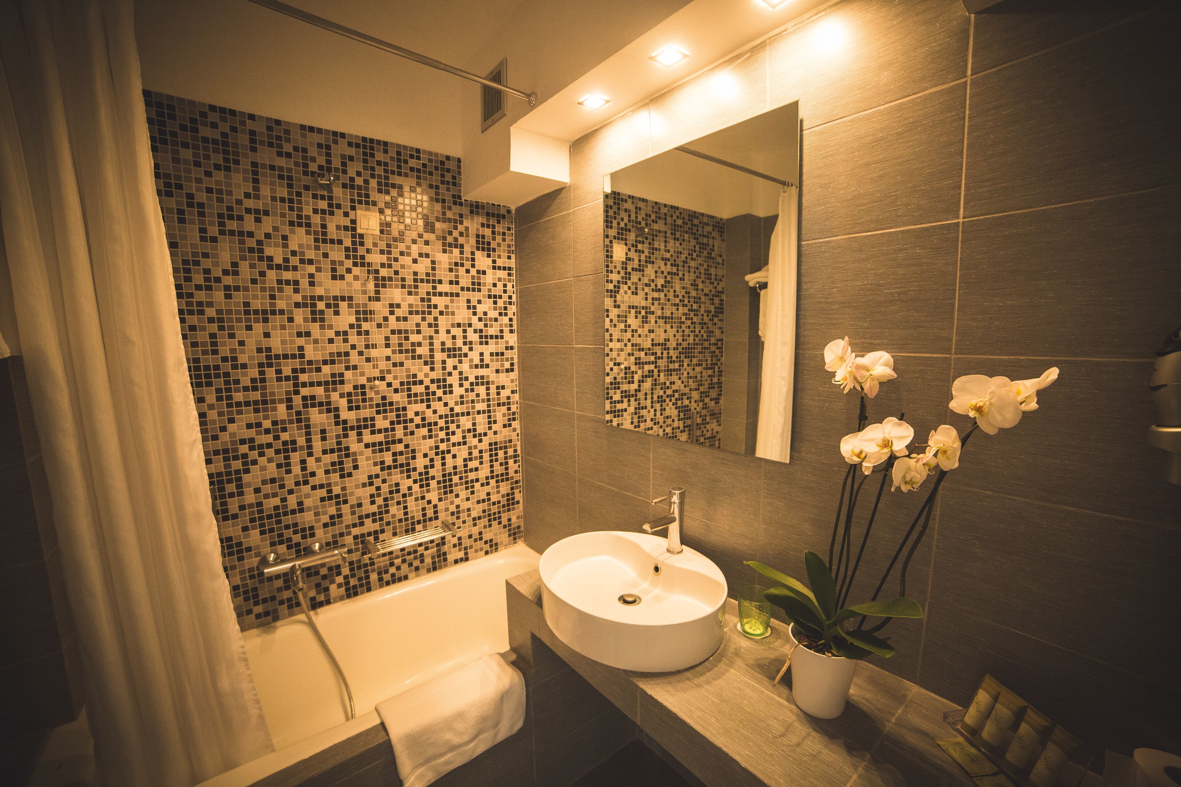 combined shower/bathtub, free toiletries, hair dryer, slippers