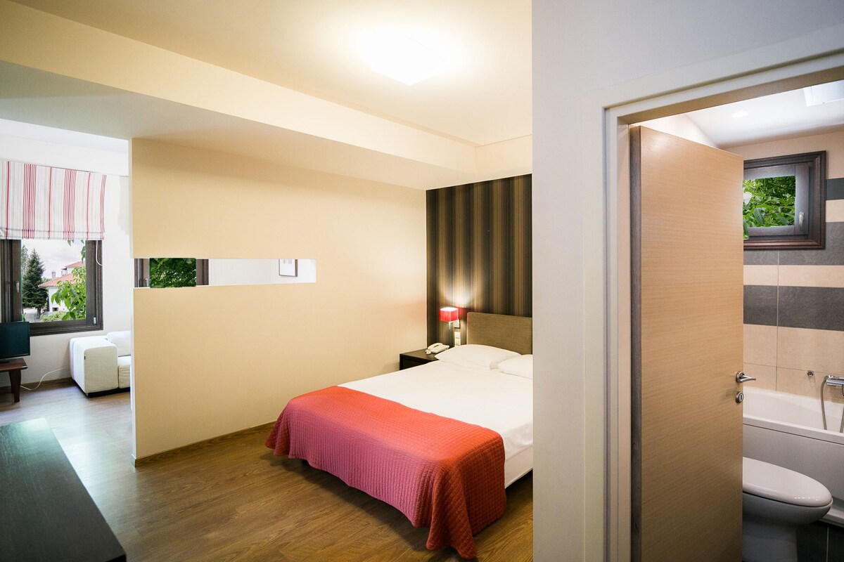 Sábanas de algodón egipcio, ropa de cama de alta calidad y cubrecamas 
