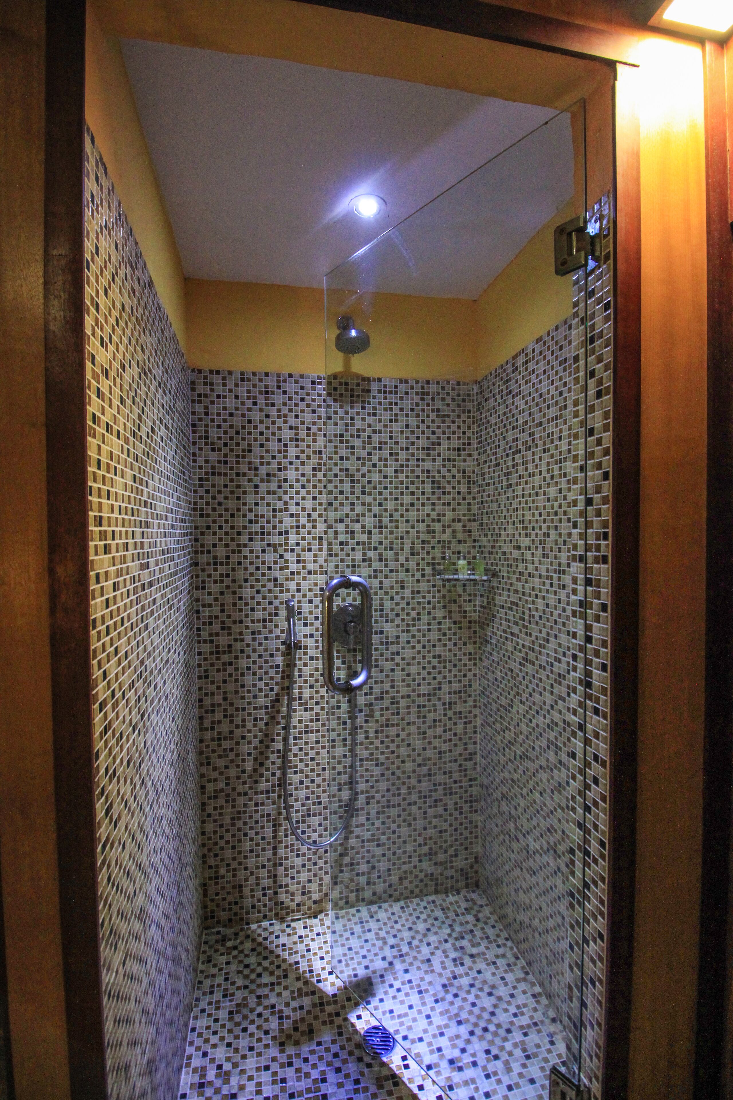 deluxe suite | bathroom shower