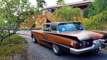 واجهة المنشأة