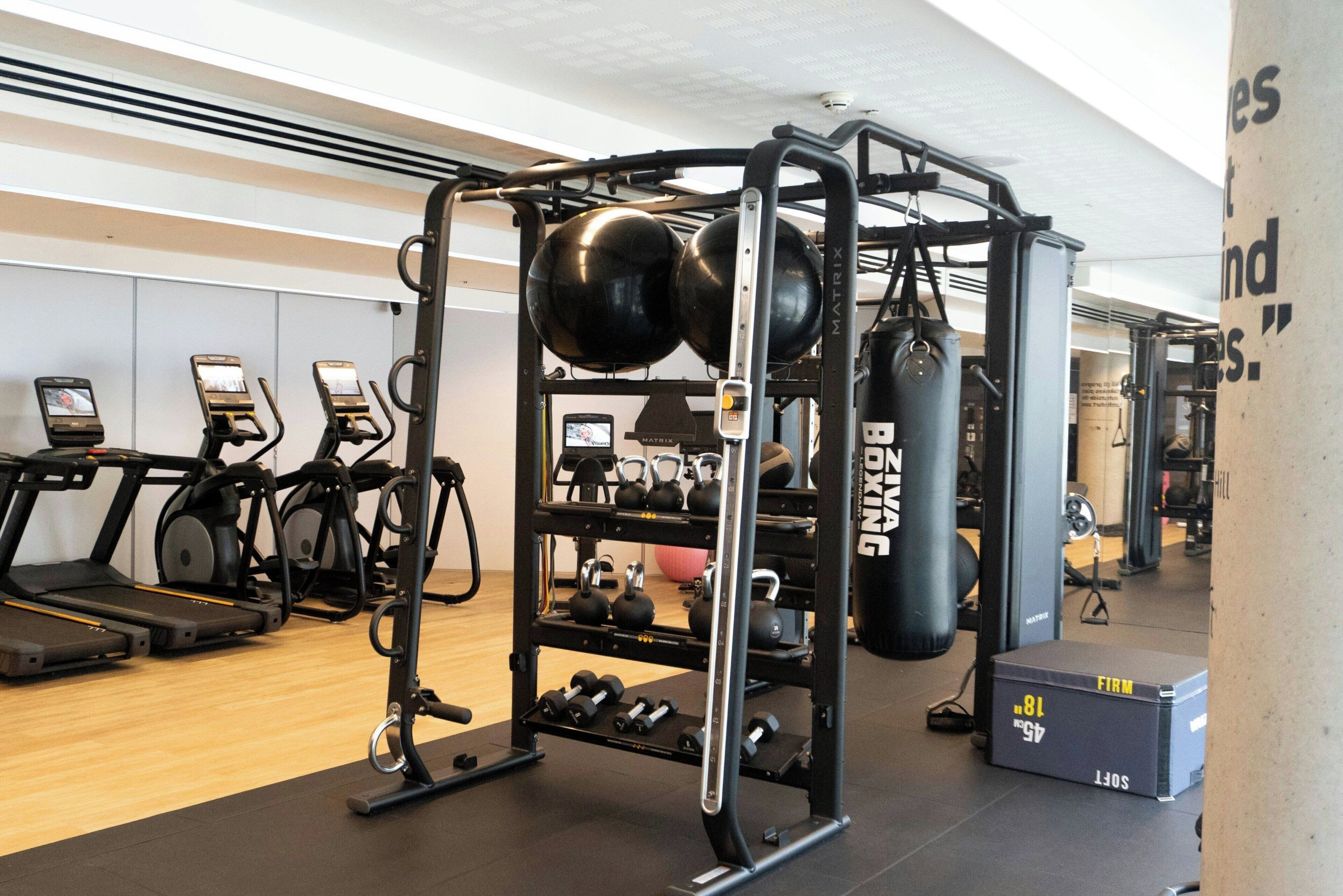A gym with treadmills, a squat rack, kettlebells, and a punching bag.