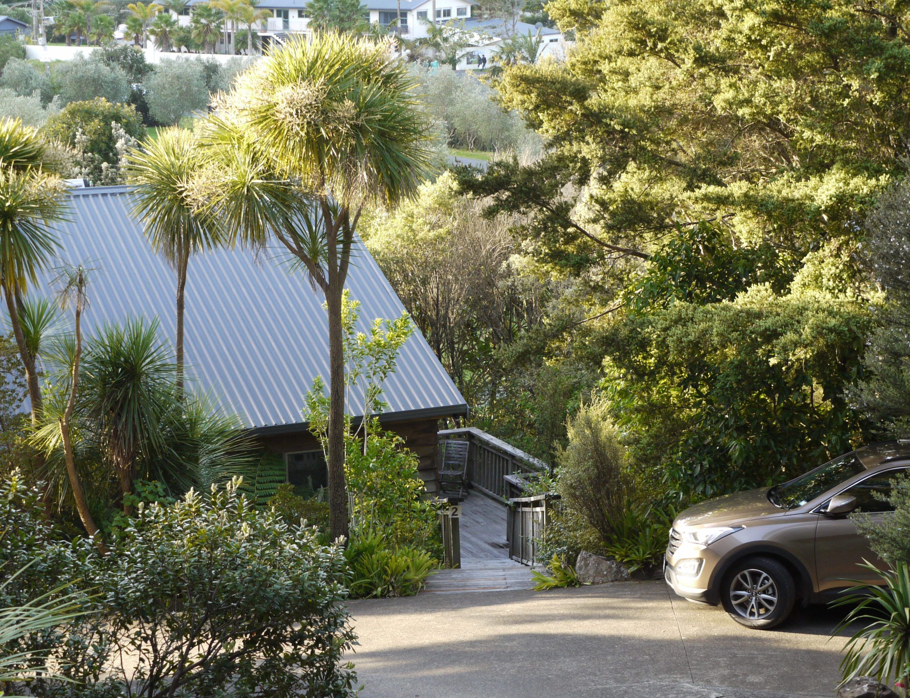 A house with a sloped metal roof, surrounded by lush greenery and palm trees.