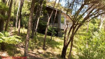 Studio | Property grounds