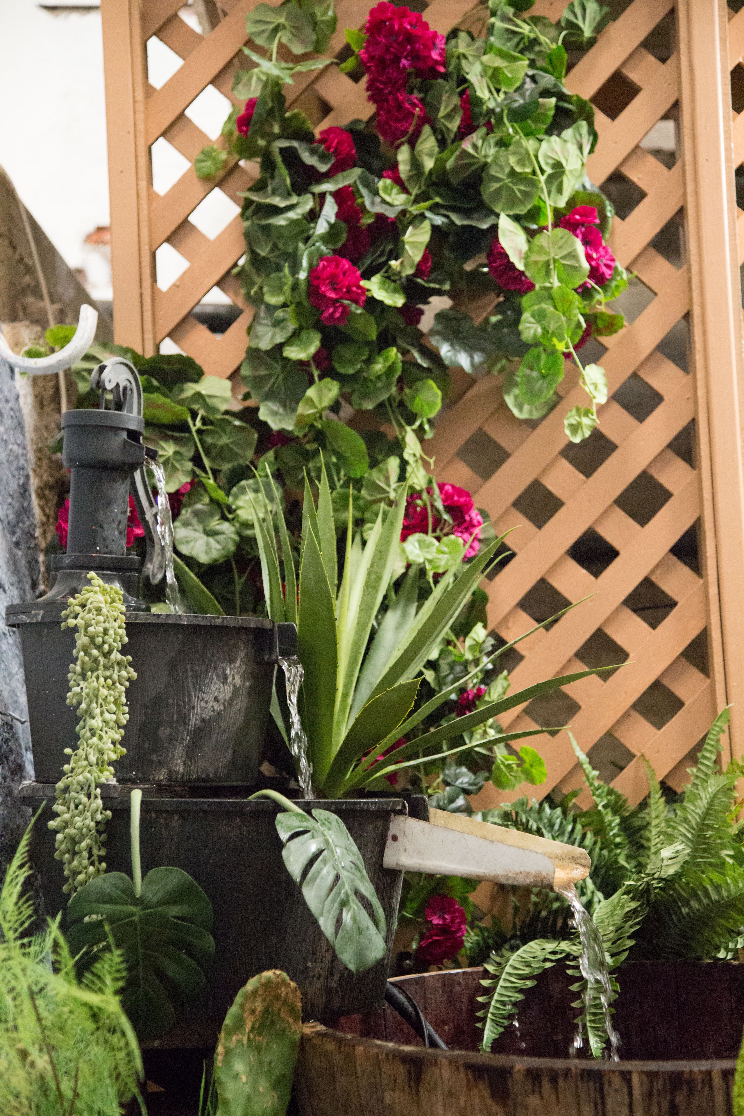 A water feature with a pump, surrounded by various plants and flowers.