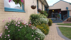 A building with hanging flower baskets and a brick pathway leading to a porch. - 1849 Backpackers Hotel (Albany)