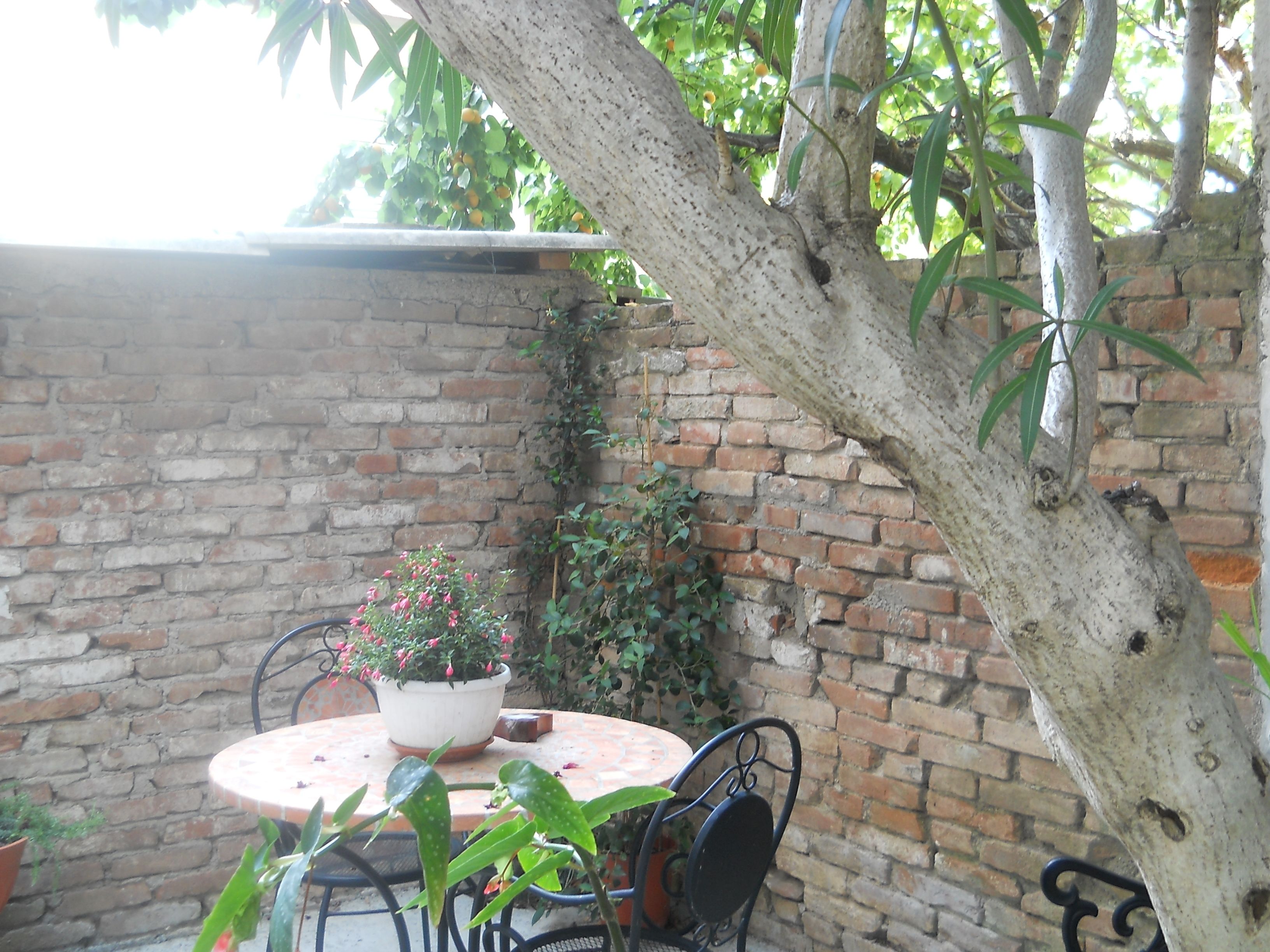 A brick wall, a round table with chairs, and potted plants.