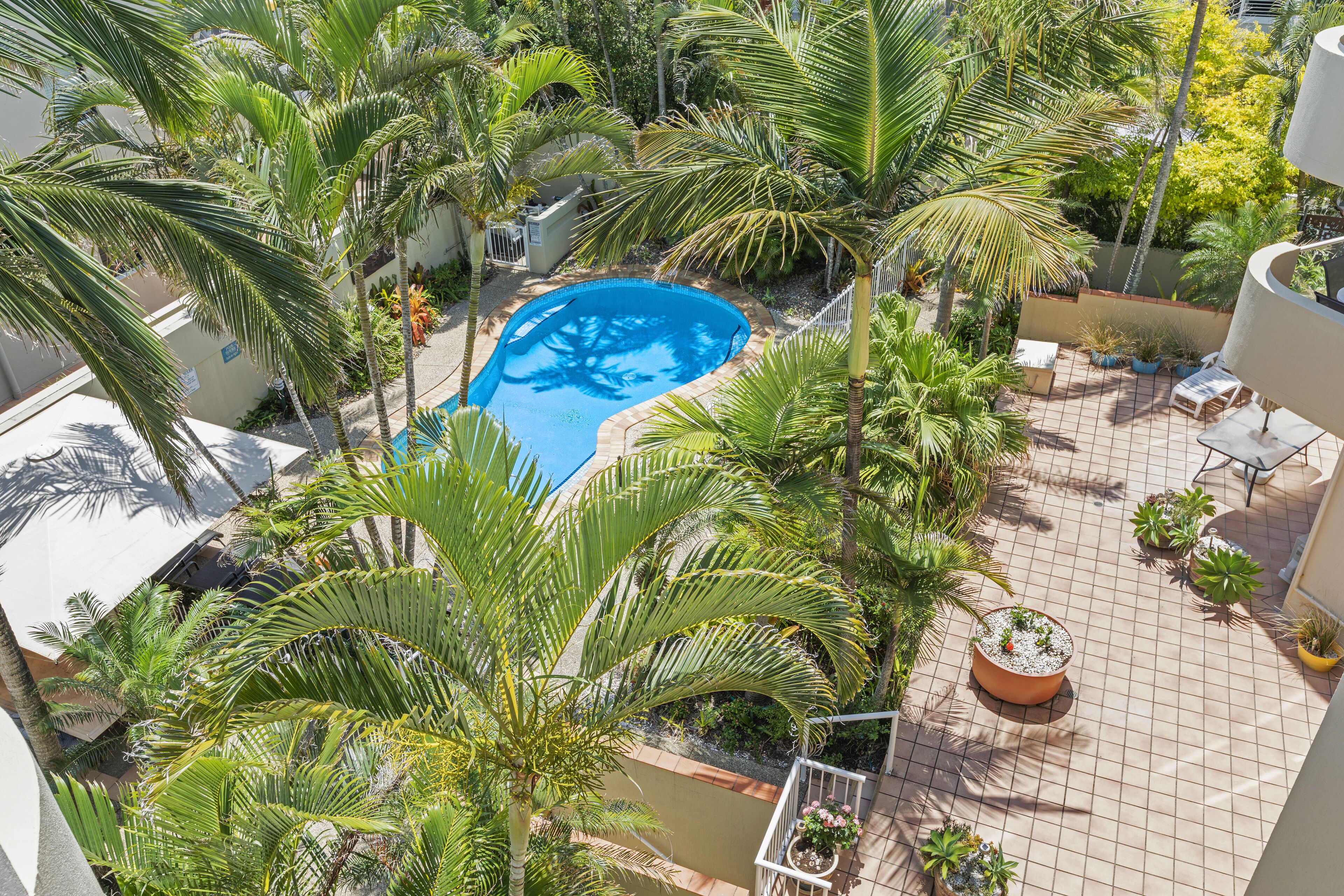 A rooftop pool surrounded by palm trees and potted plants, with a tiled patio area and outdoor furniture.