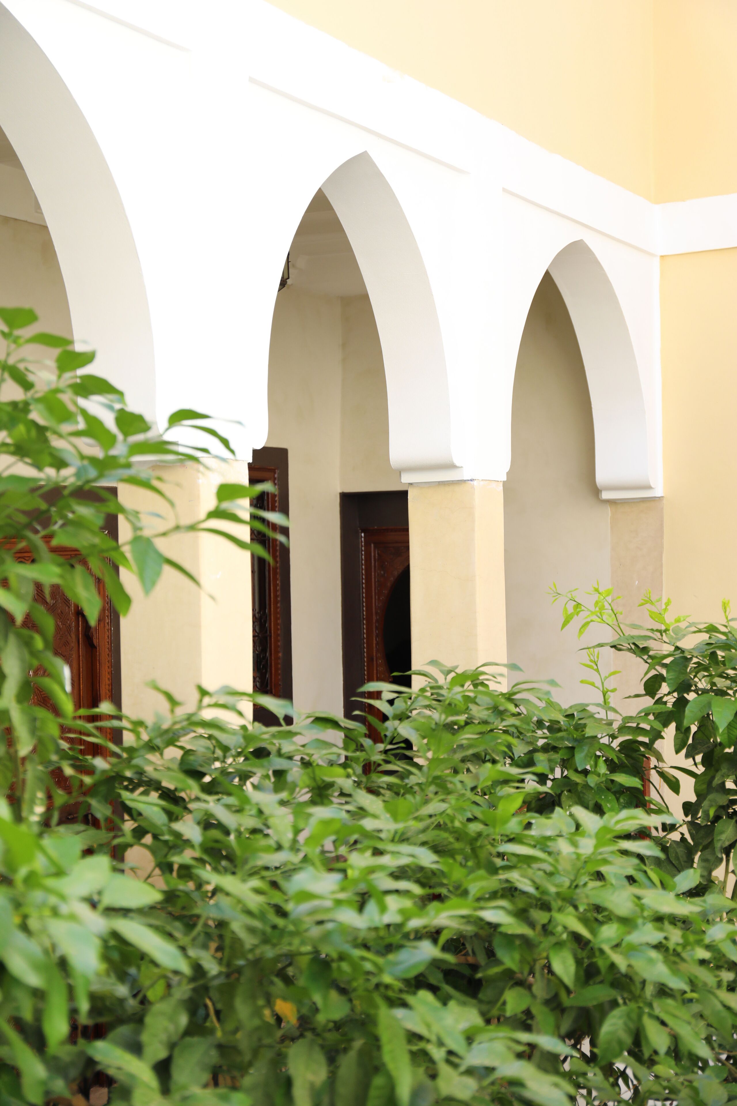 Foto - Riad Sidi Mimoune & Spa