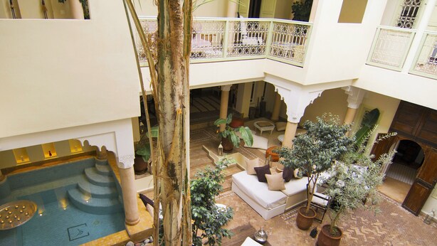 Un espace intérieur à plusieurs niveaux, doté d’une piscine centrale, de coins salon et de plantes en pot.