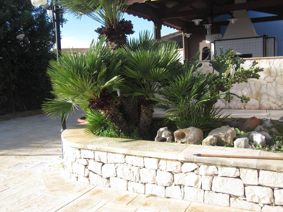 A stone wall with palm plants and a stone bench.