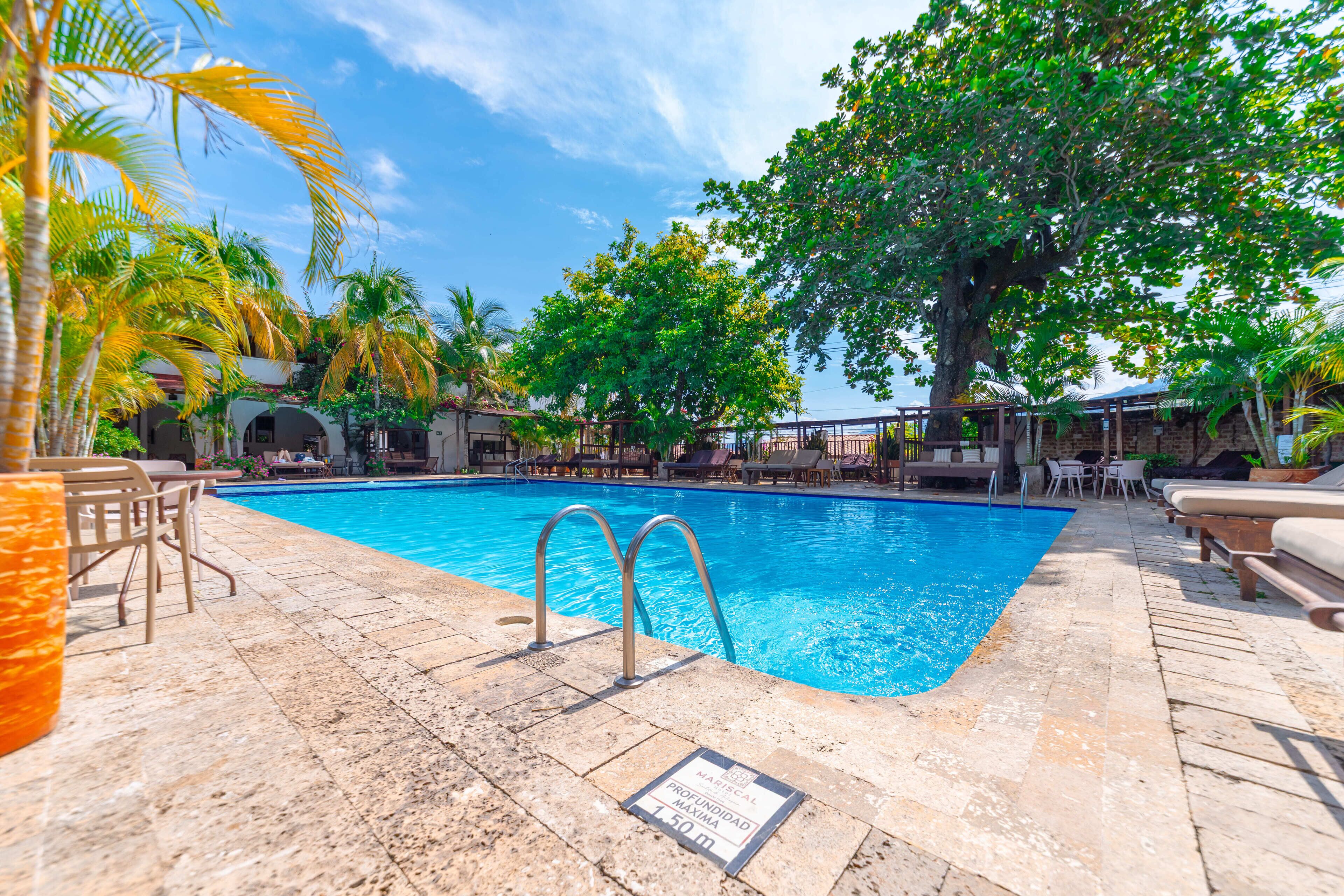 A swimming pool with a stone deck, lounge chairs, and palm trees.