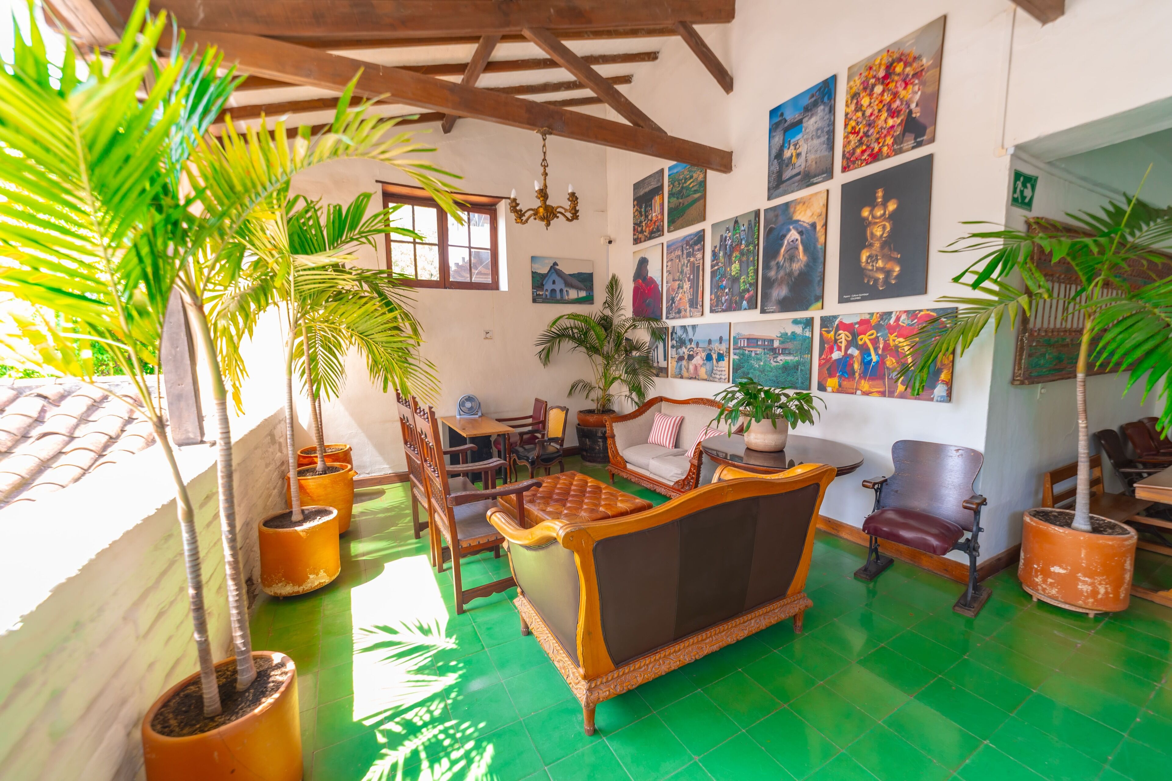 Una habitació amb terra de rajoles verdes, mobles de fusta i diverses plantes en test.