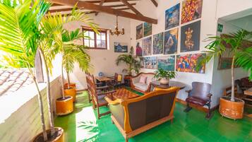 Una habitació amb terra de rajoles verdes, mobles de fusta i diverses plantes en test.