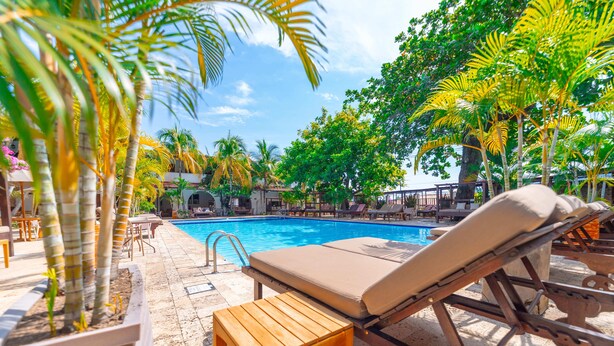 A poolside area with lounge chairs and a wooden table, surrounded by palm trees and a clear blue pool.