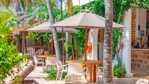 An outdoor seating area with tables and chairs, surrounded by lush greenery and flowering plants.