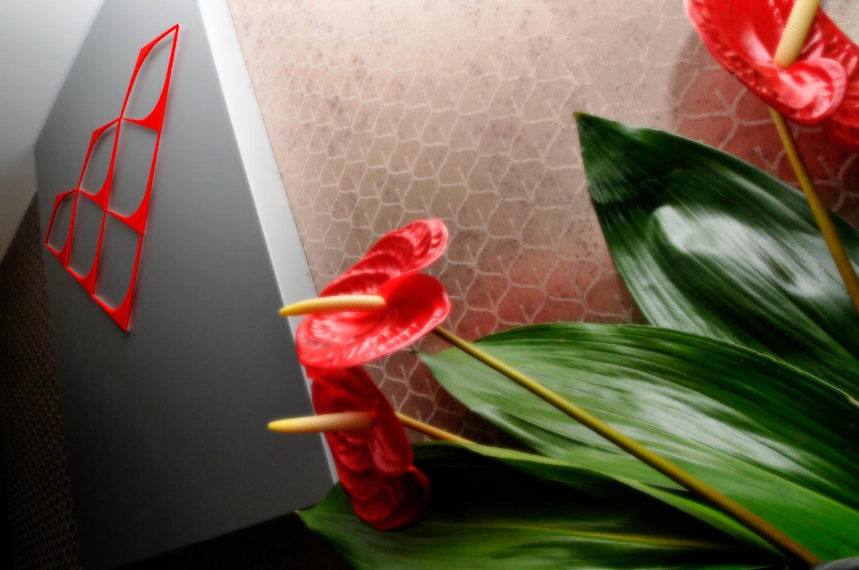 Una habitación con pared gris, una obra de arte abstracta roja y una planta verde grande con flores rojas.