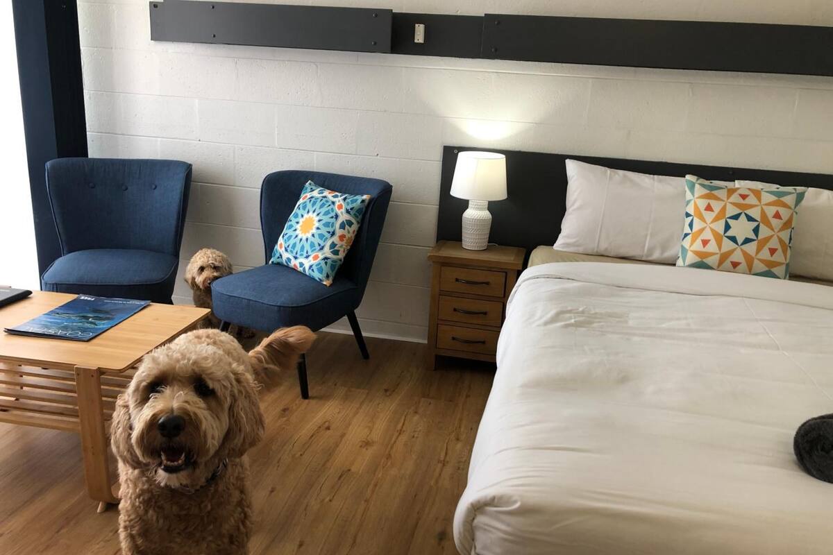 2 bedrooms, premium bedding, laptop workspace, blackout curtains