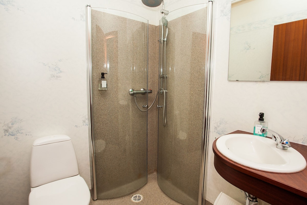 shower, designer toiletries, hair dryer, towels