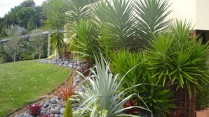 A garden with various plants, a lawn, and a wooden fence. - Seascape Villa Bed & Breakfast (Tauranga)