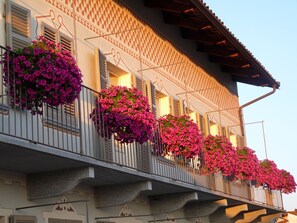 Balcony - Casa Americani (Monta)
