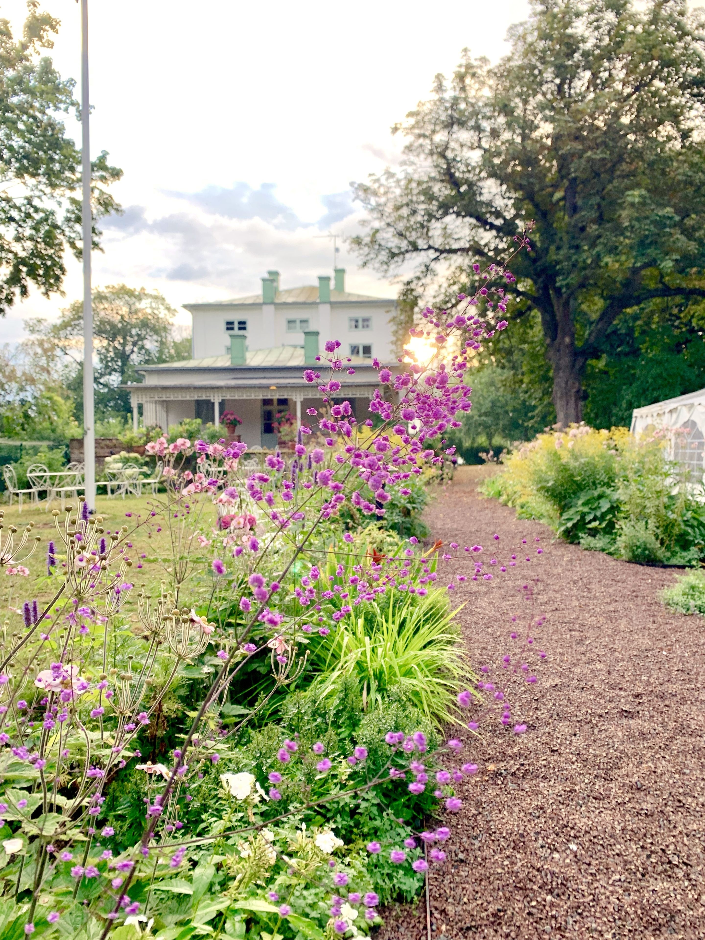 Un vialetto che conduce a una casa bianca con tetto verde, immersa nel verde e circondata da fiori viola.