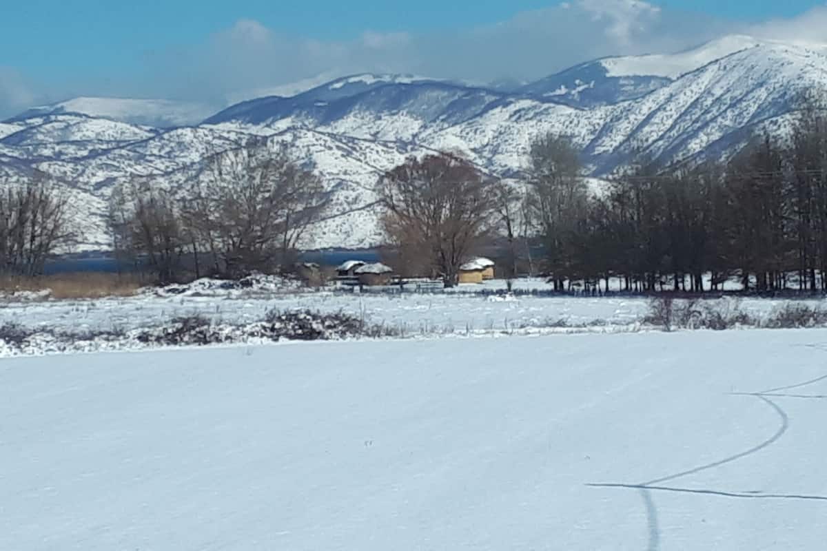 Minibar, odada kasa, ayrı ayrı dekore edilmiş, ayrı ayrı döşenmiş