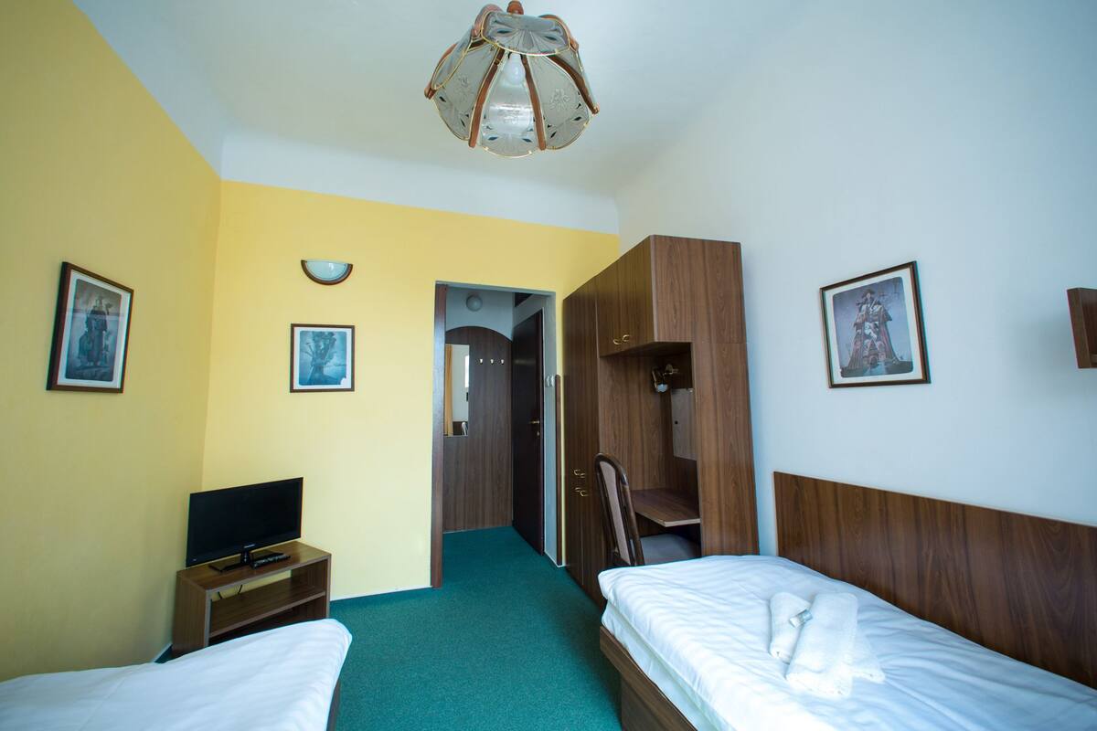 Standard Double Room, 2 Single Beds
