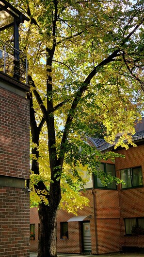 A tree with yellow leaves in front of a brick building with windows and a door. - HOME Apart-Hotel Vilnius (Vilnius)