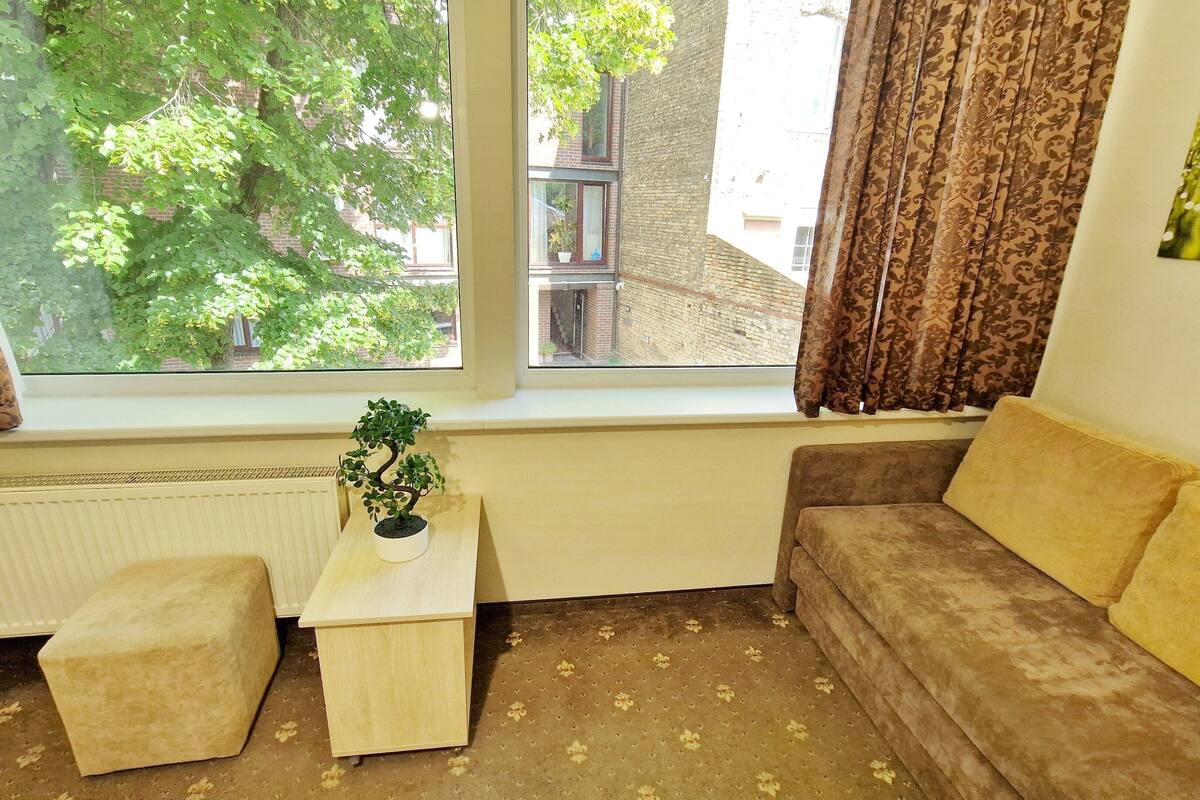 Un salón acogedor con un sofá, una mesita baja con una planta y un radiador.