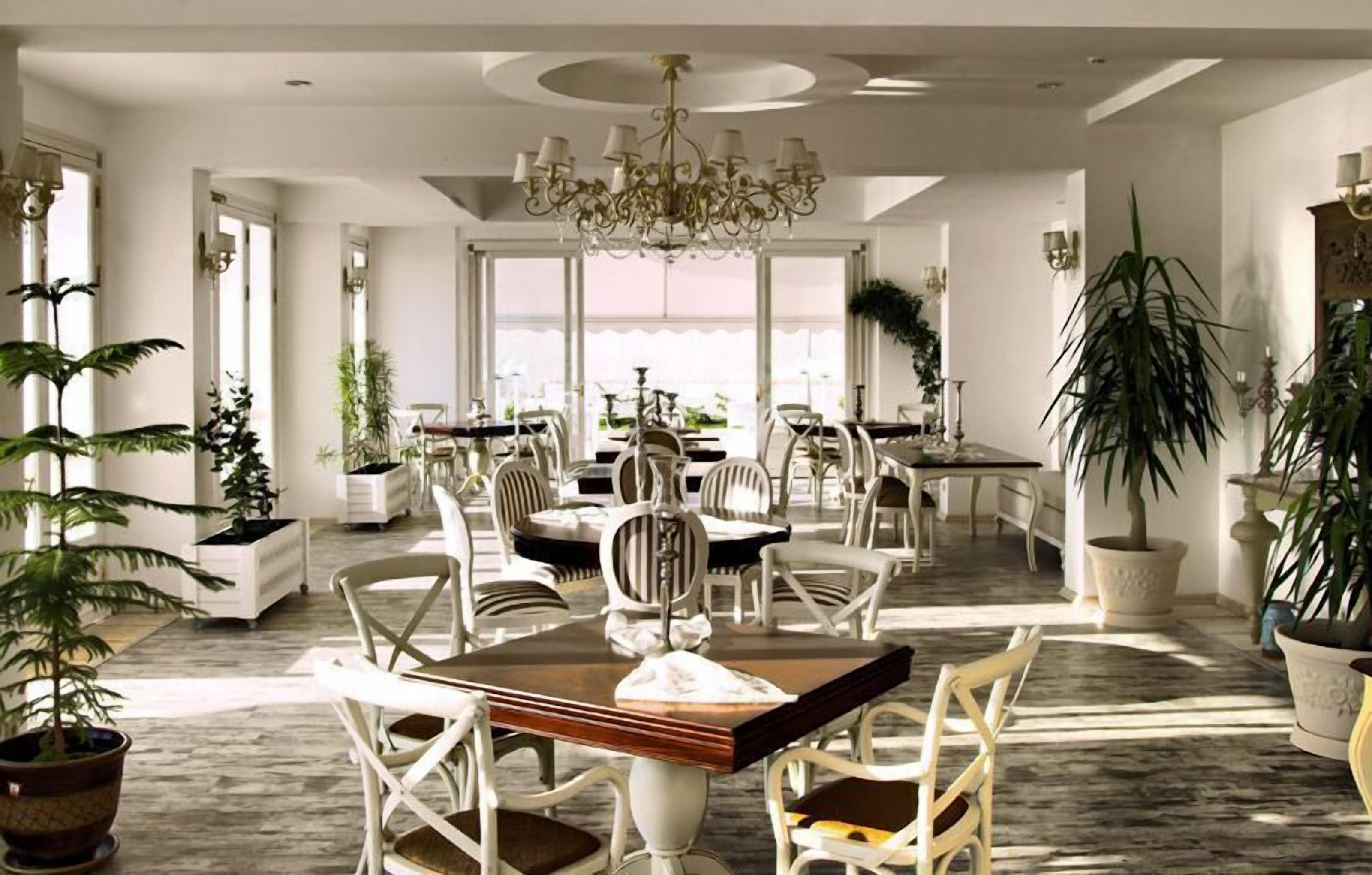 A spacious dining area with a chandelier, white chairs, and potted plants.