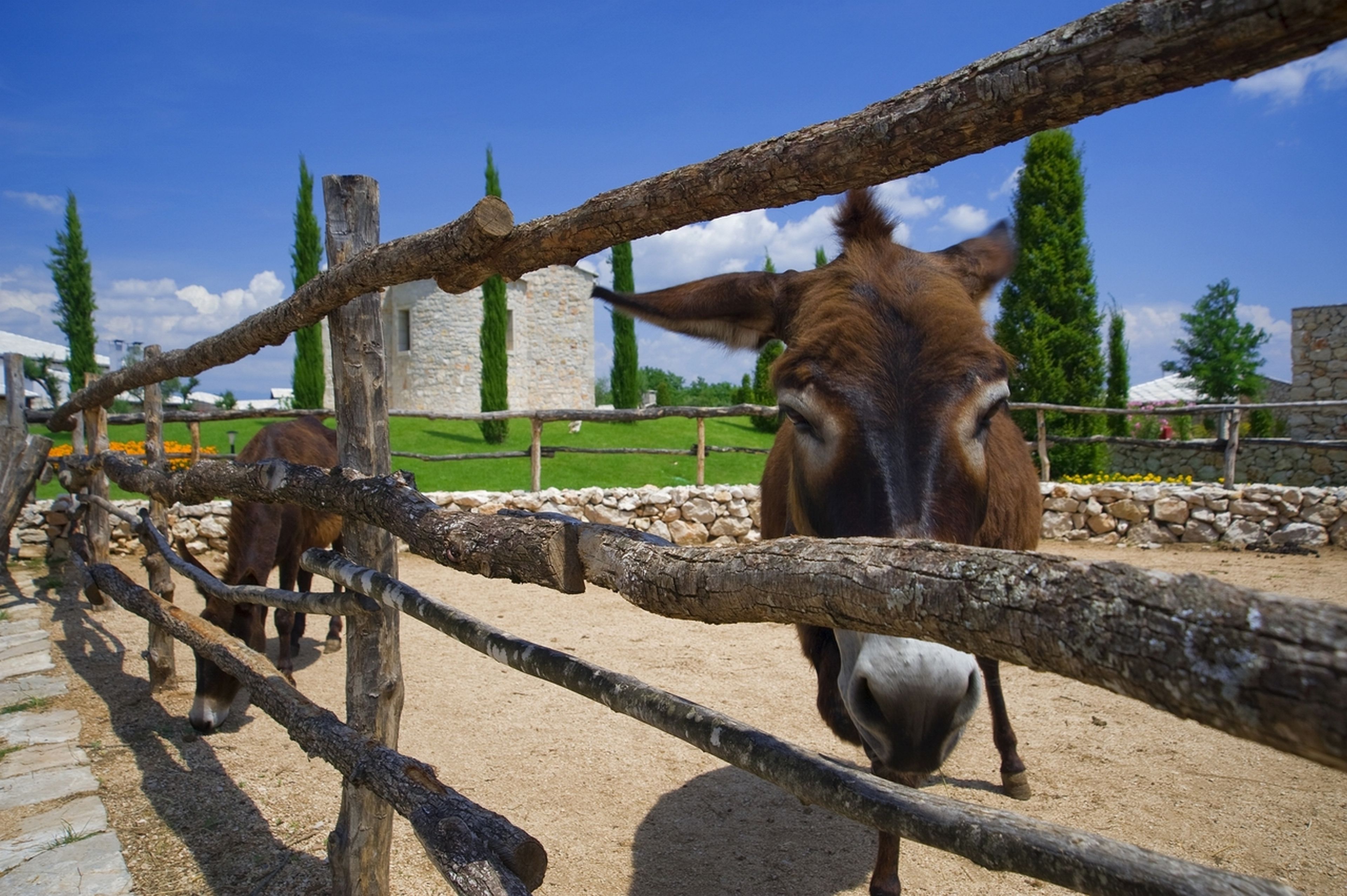 children’s activities